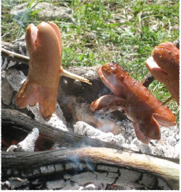 Grillades à Bellelay