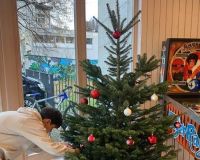 Décoration des locaux pour les fêtes de fin d'année - 03.12.2025