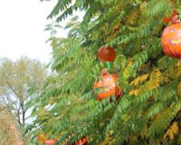 img_7773.jpg