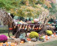 IMG_1816.JPG