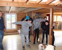 img_3920.jpg