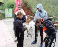 img_3927.jpg