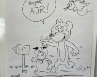 11