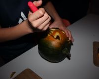 08